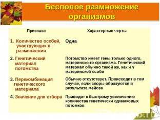 человек человек