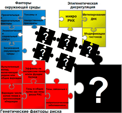 Генетическая архитектура риска расстройств аутистического спектра Генетическая архитектура риска расстройств аутистического спектра
